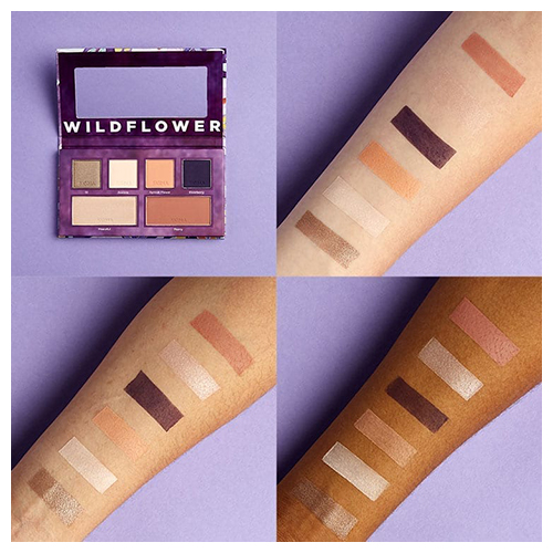 מארז איפור סיגמא - WILDFLOWER EYE & CHEEK PALETTE – תמונה 3